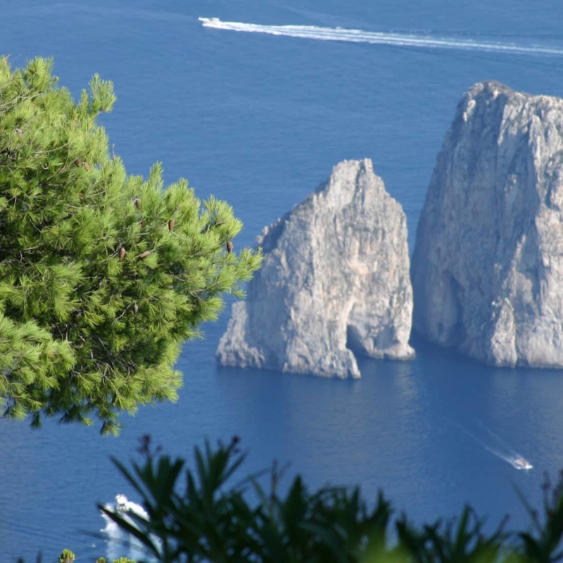 capri